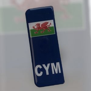 Cymru Euro Side Badge Pair