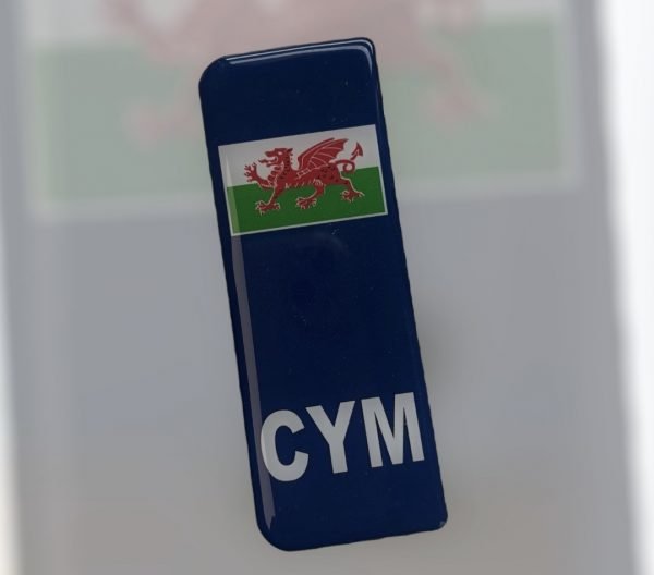 Cymru Euro Side Badge Pair