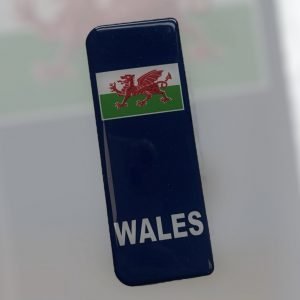 Wales Euro Side Badge Pair